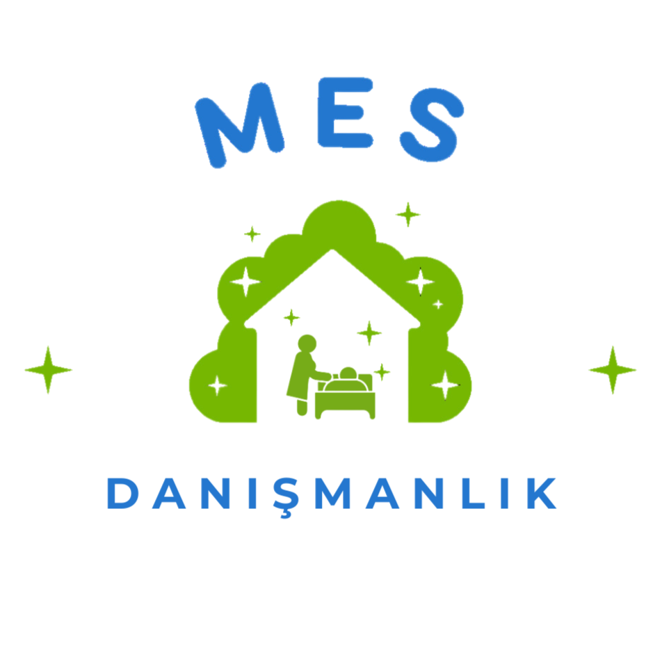 MES Danışmanlık logo